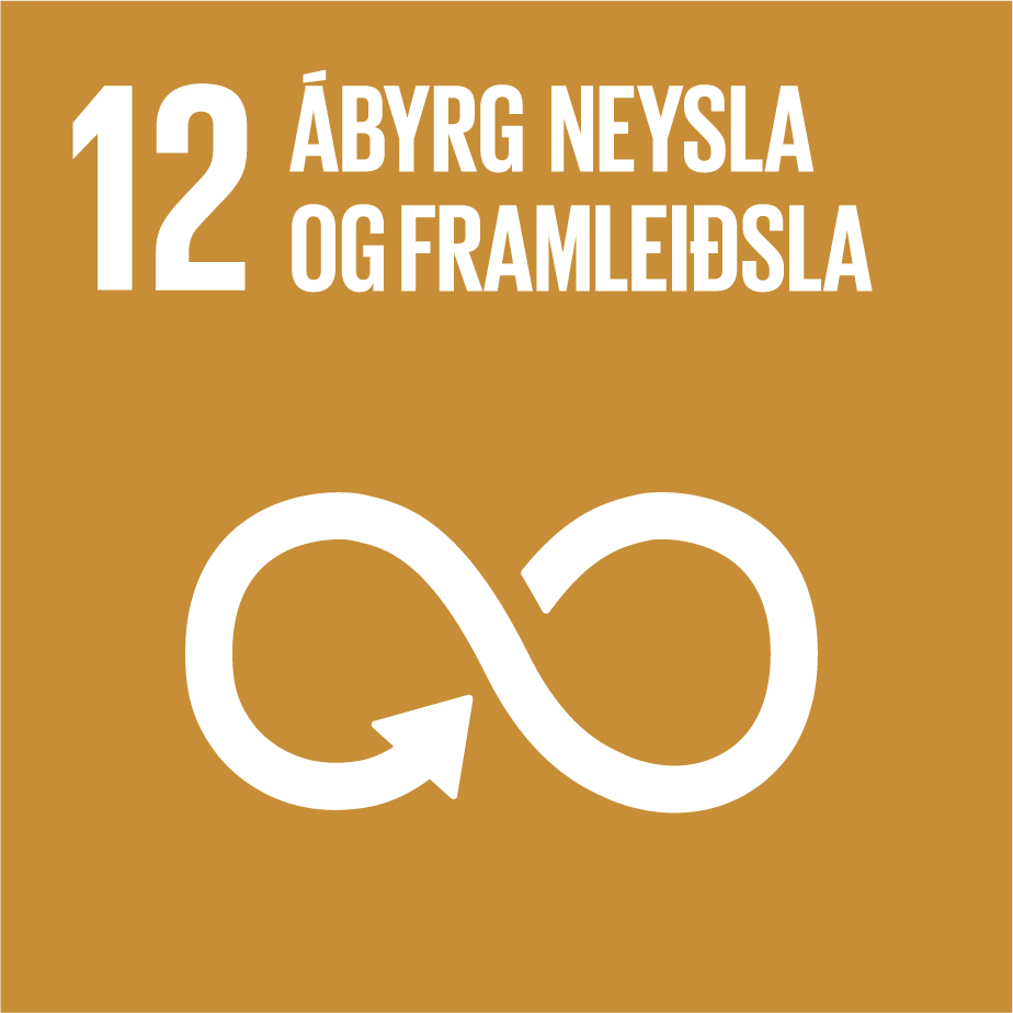 Sustainable Development Goal 12