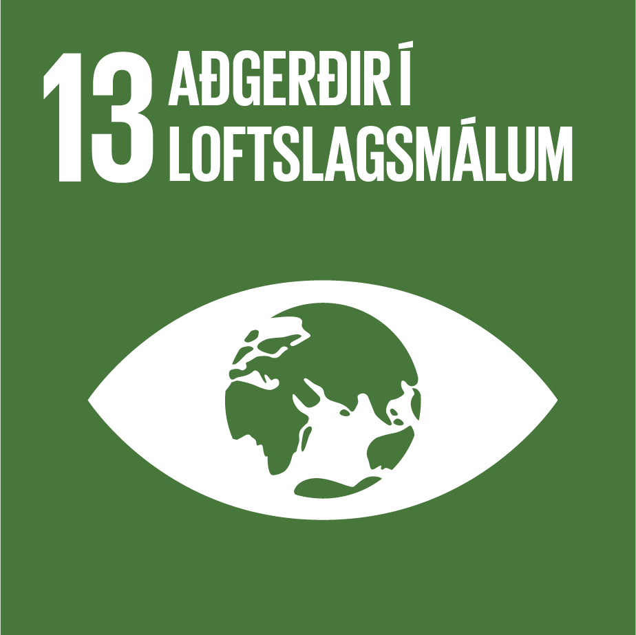Sustainable Development Goal 13
