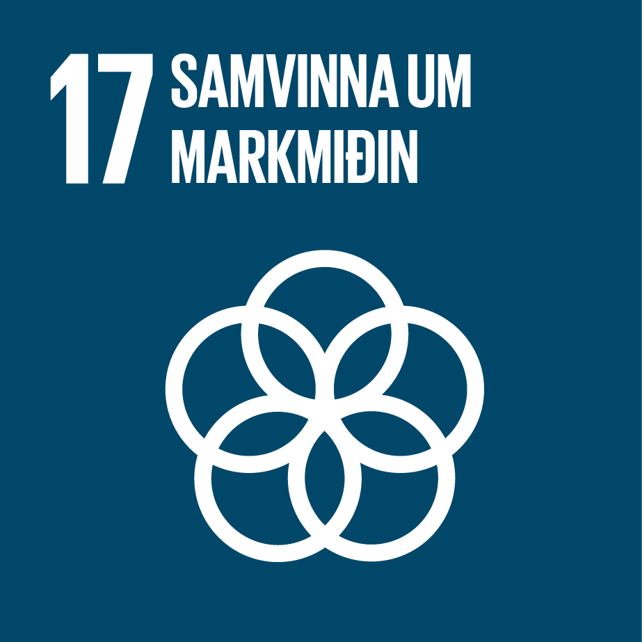 Sustainable Development Goal 17
