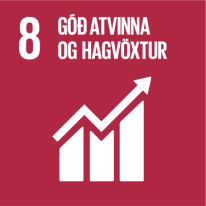 Sustainable Development Goal 8