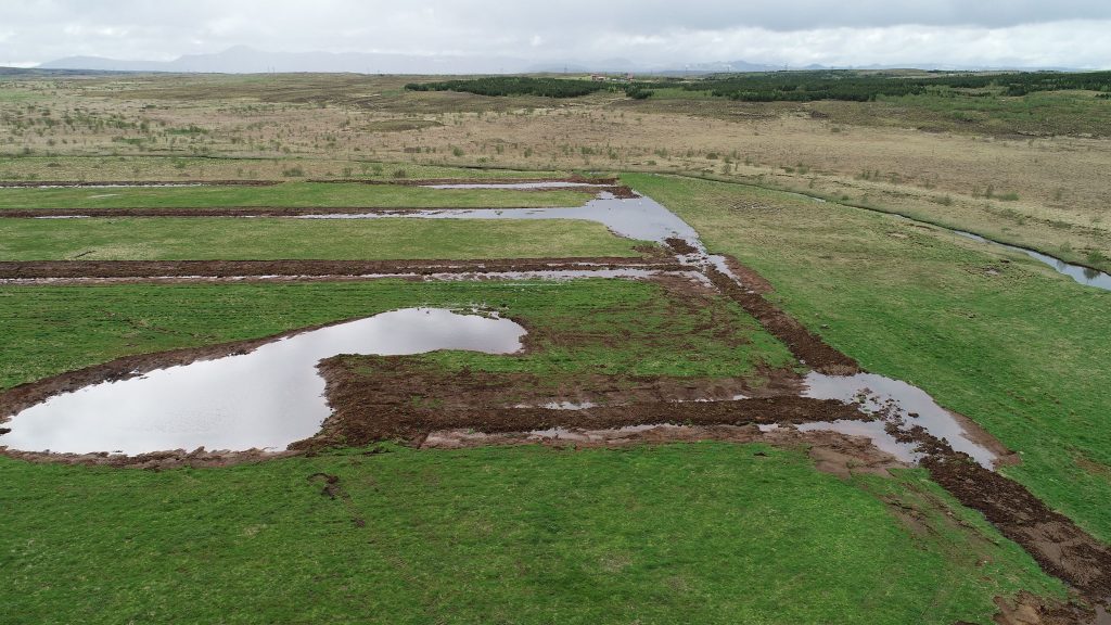 Reclamation of Wetlands