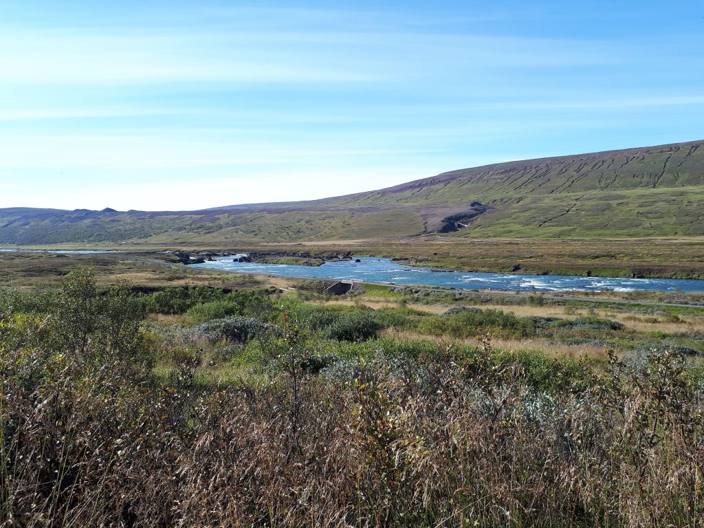 Environmental Assessment