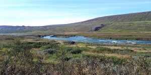 Environmental Assessment