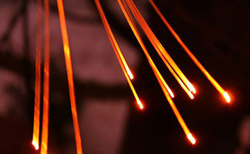 Telecommunication Utilities