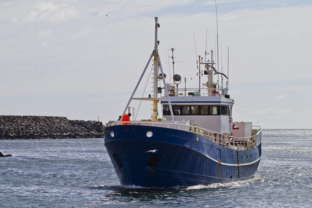 Icelandic fishing expo 2019