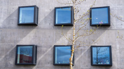 Life cycle assessment (LCA)