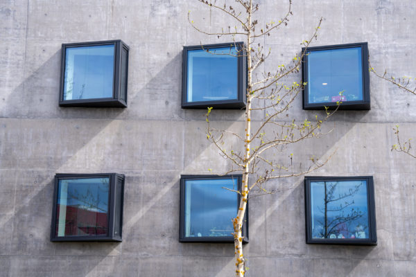 Life cycle assessment (LCA)