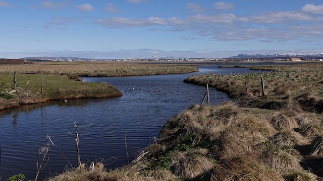 Kasthústjörn